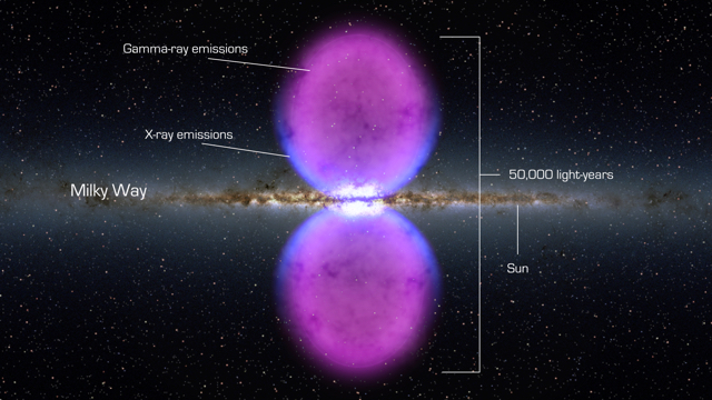 Fermi Discovers Giant Gamma-ray Bubbles in the Milky Way