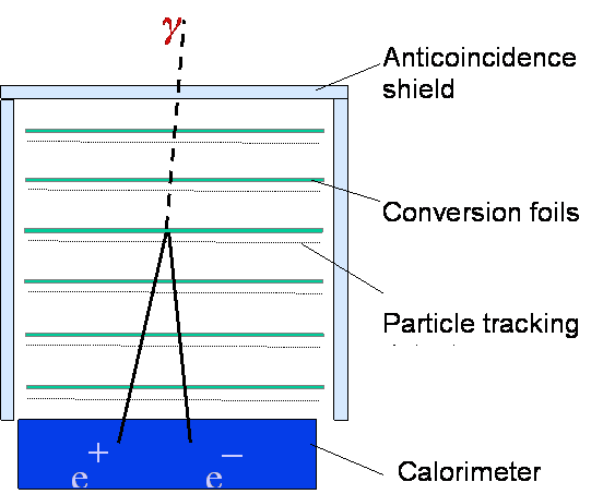Schematic of LAT Structure